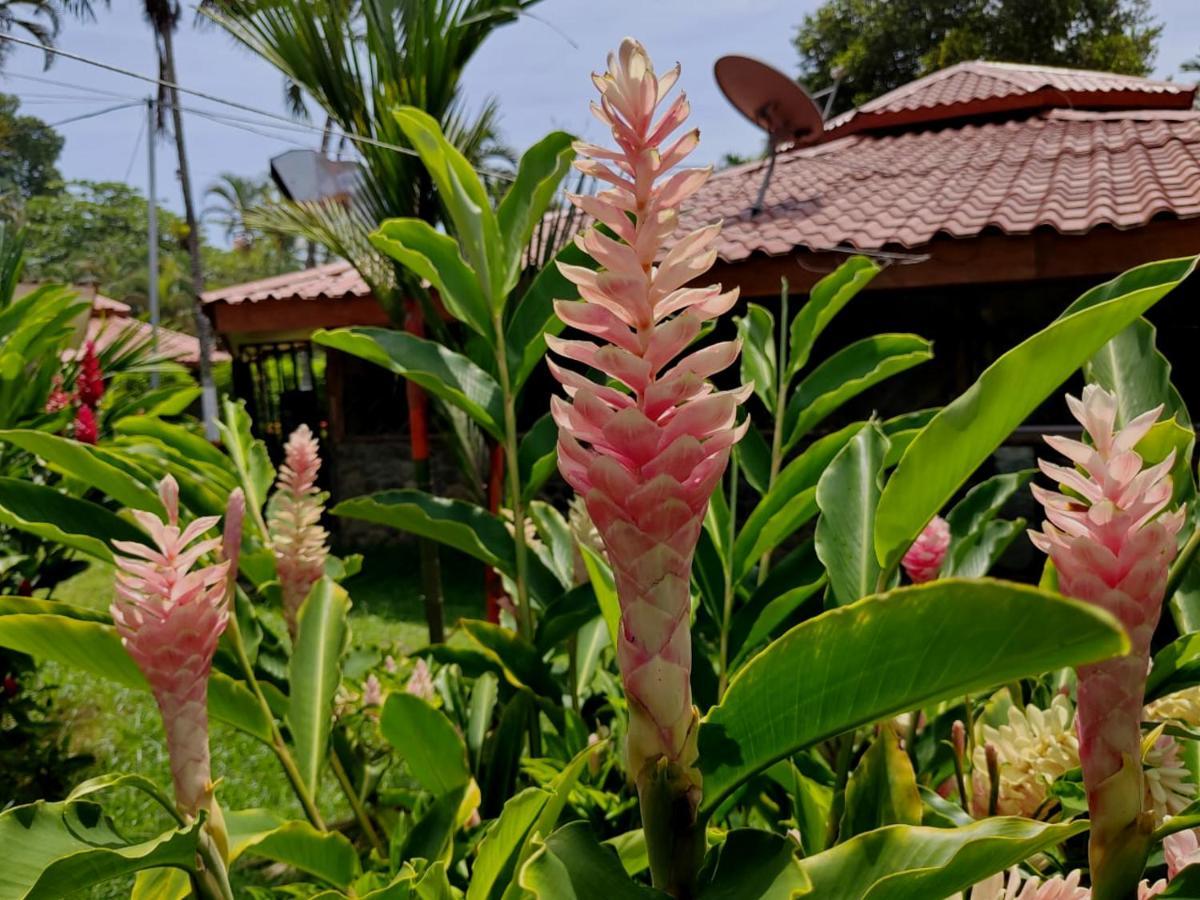 كويتا Bungalows Malu المظهر الخارجي الصورة